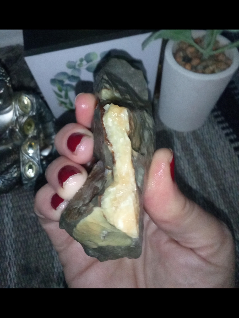 Septarian From Utah, USA Decorative Accent